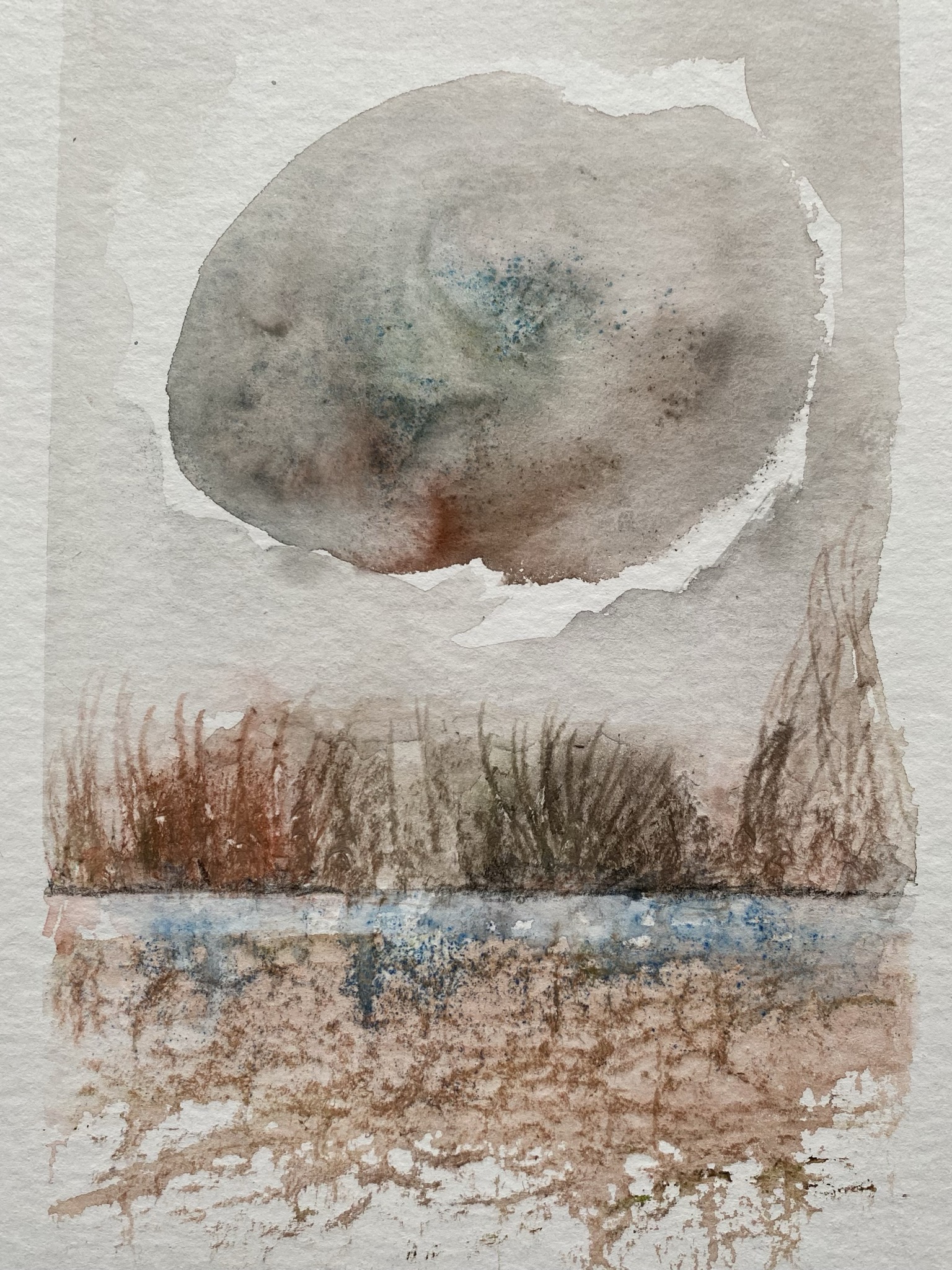 2026 aquarel beeldend oldeberkoop 2